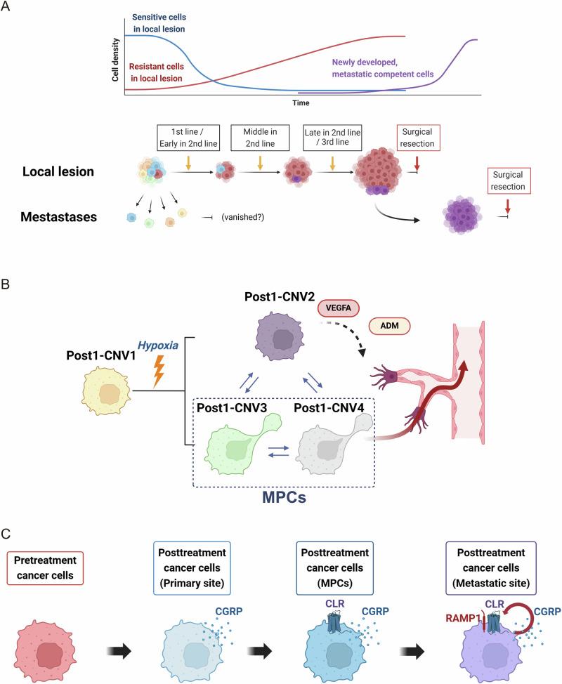 https://cdn.ncbi.nlm.nih.gov/pmc/blobs/d3a2/11450160/7fc2ce561d38/41698_2024_723_Fig6_HTML.jpg