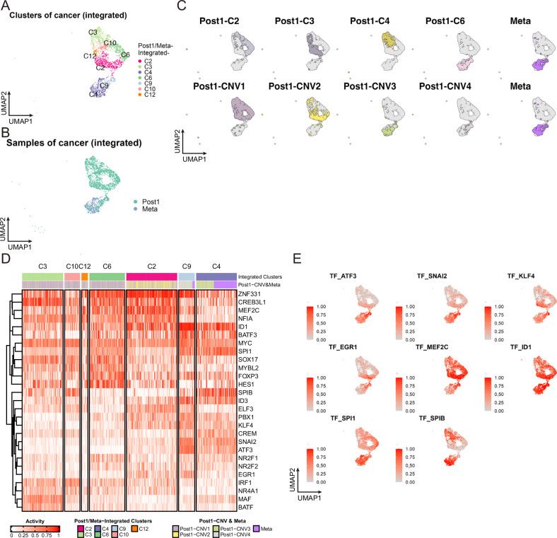 https://cdn.ncbi.nlm.nih.gov/pmc/blobs/d3a2/11450160/a1a1f48a3b27/41698_2024_723_Fig4_HTML.jpg