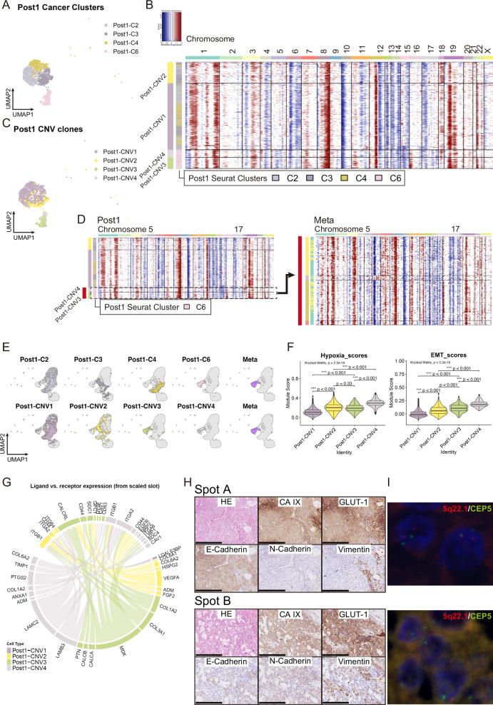 https://cdn.ncbi.nlm.nih.gov/pmc/blobs/d3a2/11450160/b46f027f6d20/41698_2024_723_Fig3_HTML.jpg