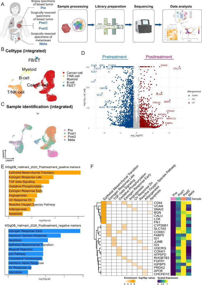 https://cdn.ncbi.nlm.nih.gov/pmc/blobs/d3a2/11450160/e6643c5edf84/41698_2024_723_Fig1_HTML.jpg
