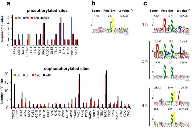 https://cdn.ncbi.nlm.nih.gov/pmc/blobs/d3a3/7519054/6da9be8d158b/41598_2020_72391_Fig6_HTML.jpg