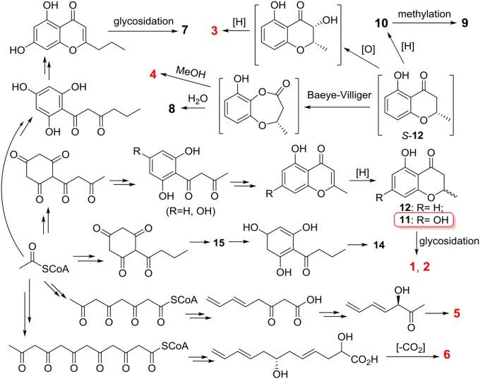 https://cdn.ncbi.nlm.nih.gov/pmc/blobs/d3a5/6102696/51319a636a03/fchem-06-00344-g0009.jpg
