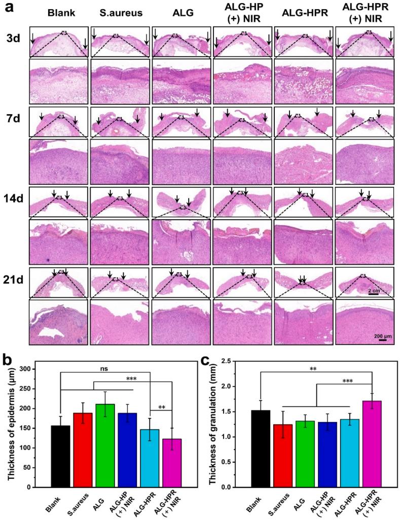 https://cdn.ncbi.nlm.nih.gov/pmc/blobs/d3a5/9478498/0eee54c64186/gr7.jpg