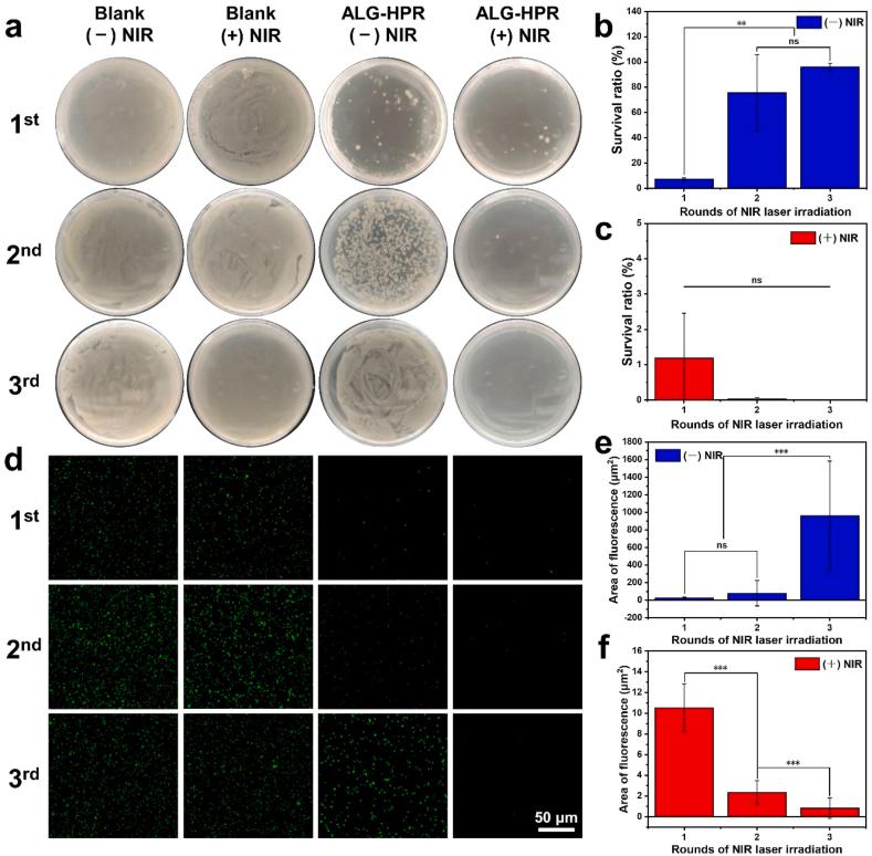 https://cdn.ncbi.nlm.nih.gov/pmc/blobs/d3a5/9478498/36b022e1fd61/gr5.jpg