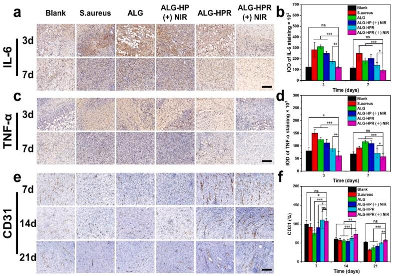 https://cdn.ncbi.nlm.nih.gov/pmc/blobs/d3a5/9478498/c574049cfe74/gr8.jpg