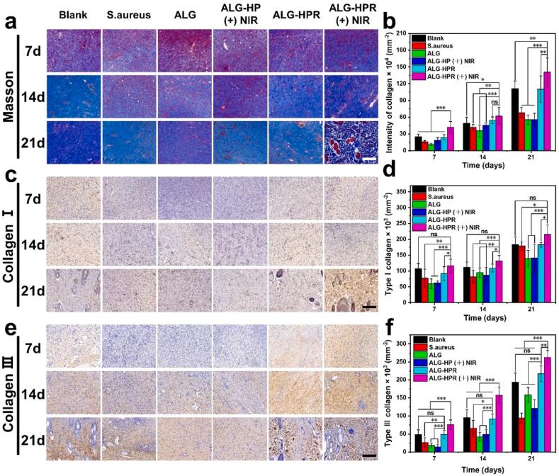 https://cdn.ncbi.nlm.nih.gov/pmc/blobs/d3a5/9478498/e45a5b37fa30/gr9.jpg