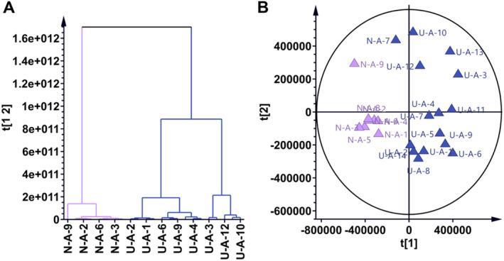 https://cdn.ncbi.nlm.nih.gov/pmc/blobs/d3a6/11632848/2c1861489815/JCLA-38-e25124-g009.jpg