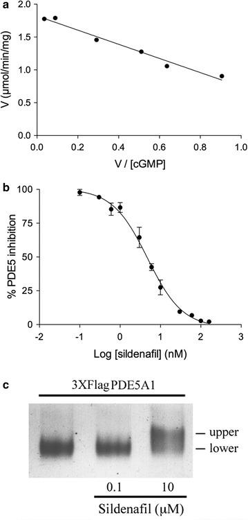 https://cdn.ncbi.nlm.nih.gov/pmc/blobs/d3a6/5610471/435d64b32875/12934_2017_779_Fig8_HTML.jpg