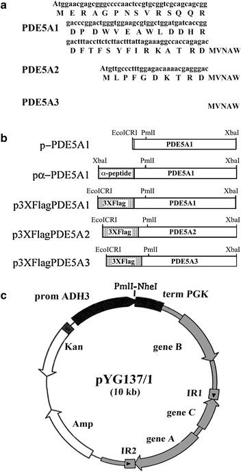 https://cdn.ncbi.nlm.nih.gov/pmc/blobs/d3a6/5610471/b1d688e9315a/12934_2017_779_Fig2_HTML.jpg