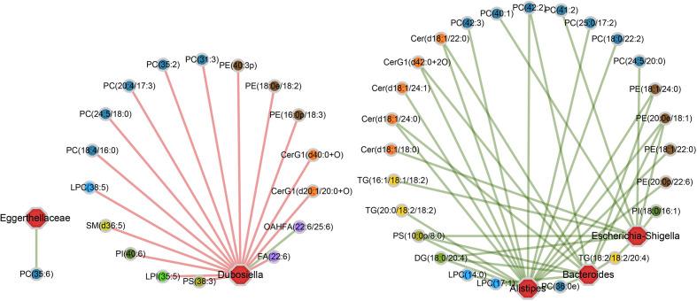 https://cdn.ncbi.nlm.nih.gov/pmc/blobs/d3a6/7609817/247ab23fa7dc/fcimb-10-541178-g005.jpg