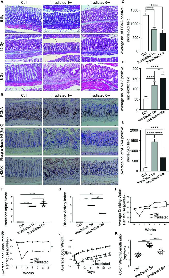 https://cdn.ncbi.nlm.nih.gov/pmc/blobs/d3a6/7609817/248187039c56/fcimb-10-541178-g001.jpg