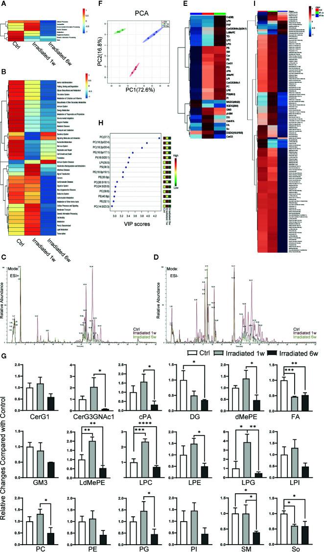 https://cdn.ncbi.nlm.nih.gov/pmc/blobs/d3a6/7609817/47d3a26166a6/fcimb-10-541178-g004.jpg