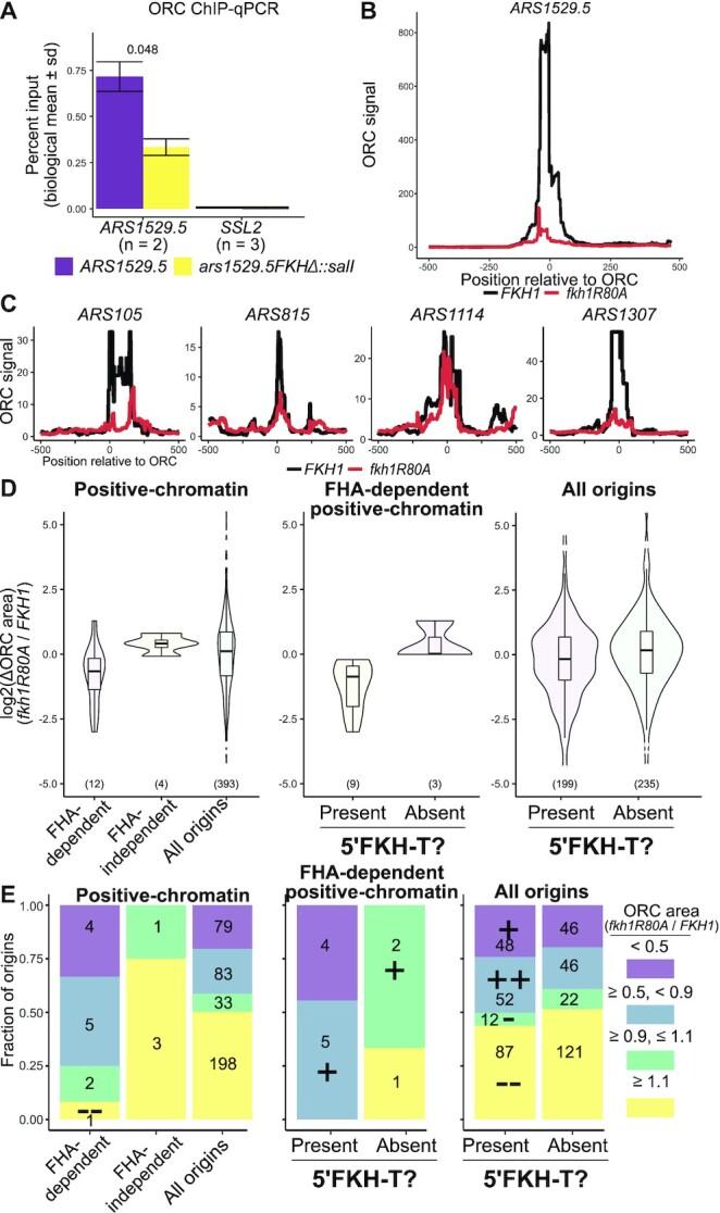 https://cdn.ncbi.nlm.nih.gov/pmc/blobs/d3a6/8501964/f8af028f0f7e/gkab450fig6.jpg