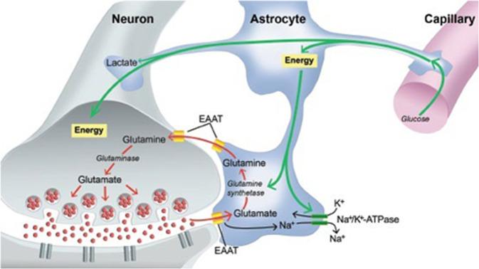 https://cdn.ncbi.nlm.nih.gov/pmc/blobs/d3a6/9719533/f6b14d1cc0b2/41398_2022_2253_Fig1_HTML.jpg