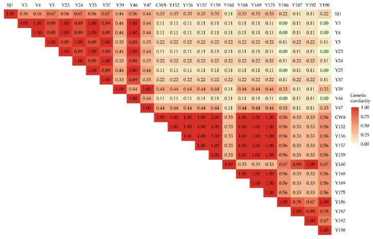 https://cdn.ncbi.nlm.nih.gov/pmc/blobs/d3a9/9369183/58d60e9ff132/ijms-23-08793-g003.jpg