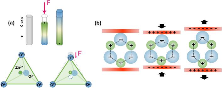https://cdn.ncbi.nlm.nih.gov/pmc/blobs/d3ac/11486894/c7cf9e985335/40820_2024_1536_Fig3_HTML.jpg