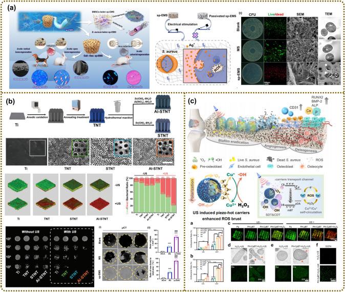 https://cdn.ncbi.nlm.nih.gov/pmc/blobs/d3ac/11486894/e688b62f0817/40820_2024_1536_Fig7_HTML.jpg