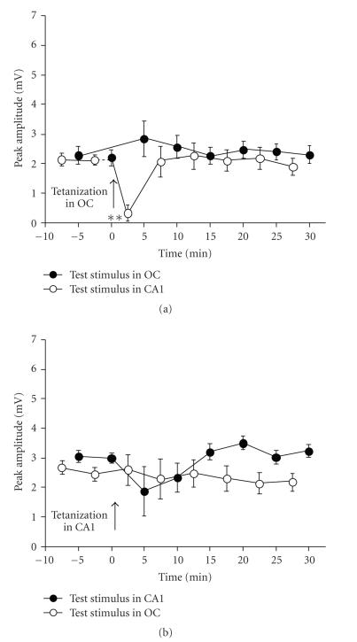 https://cdn.ncbi.nlm.nih.gov/pmc/blobs/d3b2/2442167/2a8df46701a5/NP2008-646919.003.jpg