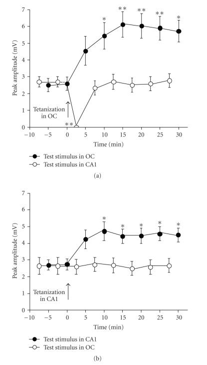 https://cdn.ncbi.nlm.nih.gov/pmc/blobs/d3b2/2442167/90021ff1dbdb/NP2008-646919.002.jpg