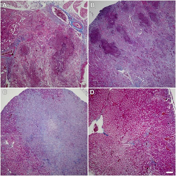 https://cdn.ncbi.nlm.nih.gov/pmc/blobs/d3b3/5719254/2069757f8c48/dmm-10-030130-g2.jpg