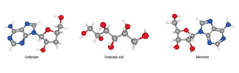https://cdn.ncbi.nlm.nih.gov/pmc/blobs/d3b3/9528920/12f077b4db0f/anntransplant-27-e937469-g001.jpg