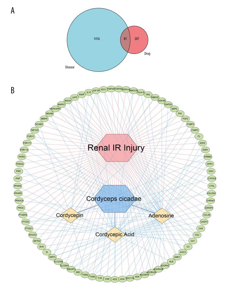 https://cdn.ncbi.nlm.nih.gov/pmc/blobs/d3b3/9528920/2951b291a61d/anntransplant-27-e937469-g002.jpg