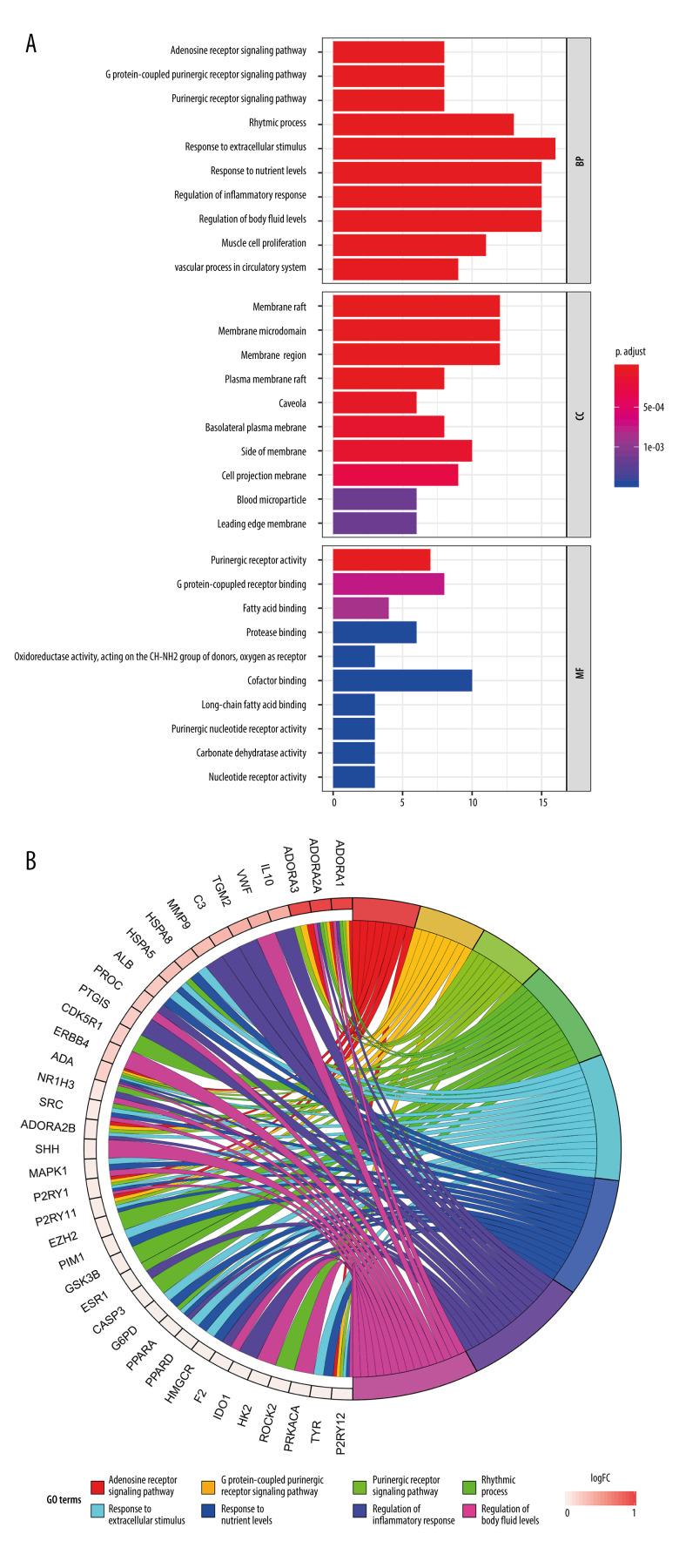 https://cdn.ncbi.nlm.nih.gov/pmc/blobs/d3b3/9528920/778f0b900bbc/anntransplant-27-e937469-g004.jpg