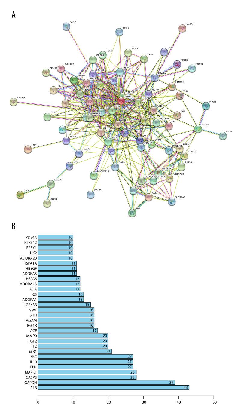 https://cdn.ncbi.nlm.nih.gov/pmc/blobs/d3b3/9528920/ced7eaa53a14/anntransplant-27-e937469-g003.jpg