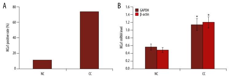 https://cdn.ncbi.nlm.nih.gov/pmc/blobs/d3b4/5358865/4305ee57b055/medscimonitbasicres-23-45-g001.jpg
