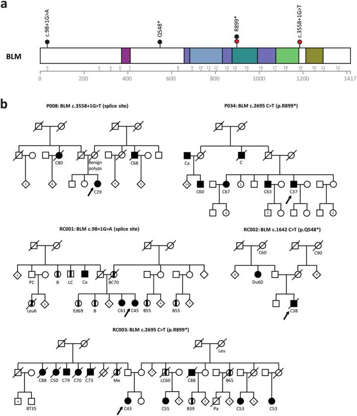 https://cdn.ncbi.nlm.nih.gov/pmc/blobs/d3b6/4566092/384357c546a2/srep14060-f1.jpg