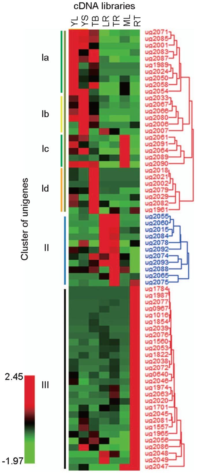 https://cdn.ncbi.nlm.nih.gov/pmc/blobs/d3ba/3405963/e6e9ab8a052c/bs-62-186f2.jpg