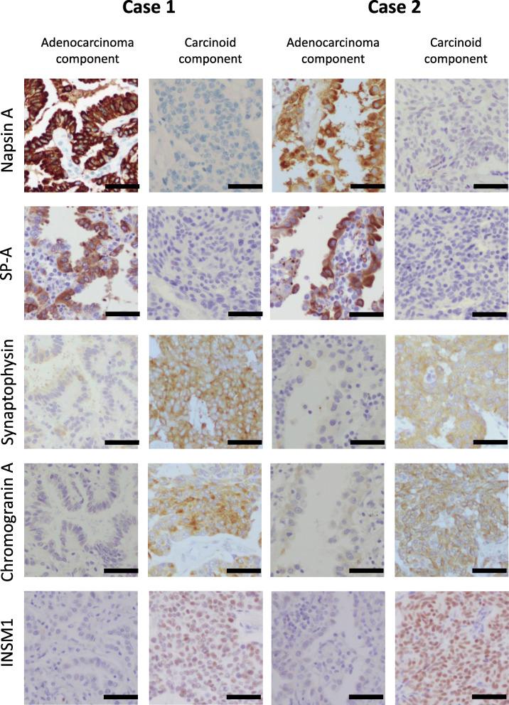 https://cdn.ncbi.nlm.nih.gov/pmc/blobs/d3bb/8832797/bf9376705fe2/13000_2022_1208_Fig3_HTML.jpg