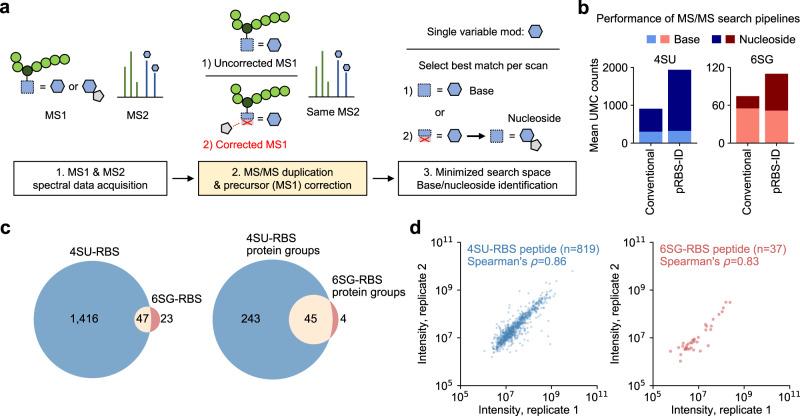 https://cdn.ncbi.nlm.nih.gov/pmc/blobs/d3be/8519950/fdff2d3c46de/41467_2021_26317_Fig2_HTML.jpg