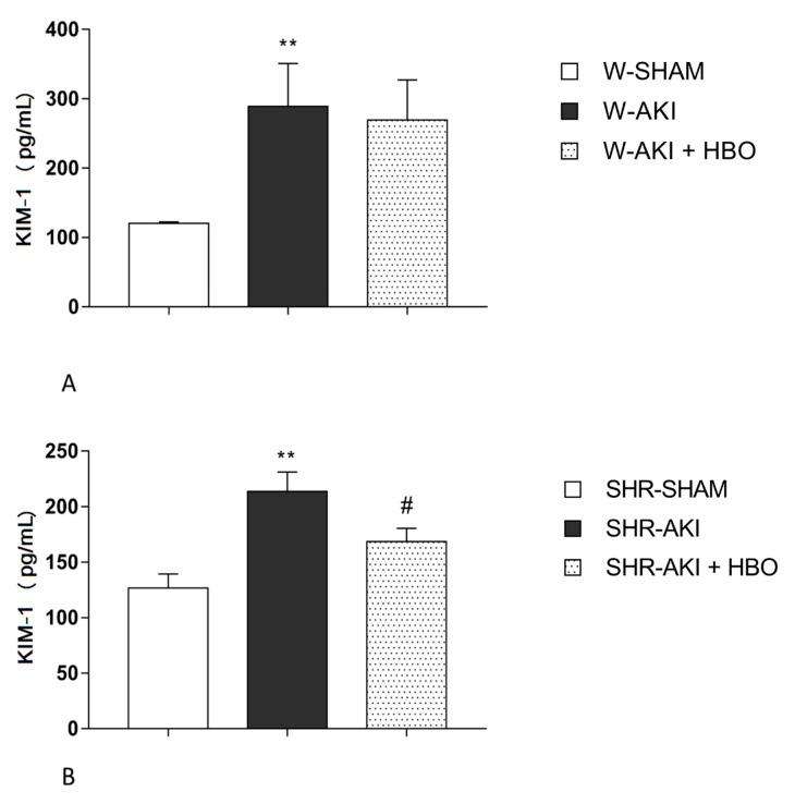 https://cdn.ncbi.nlm.nih.gov/pmc/blobs/d3bf/7866496/8bcdefaf36fb/ijms-22-01382-g001.jpg