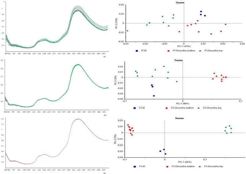 https://cdn.ncbi.nlm.nih.gov/pmc/blobs/d3c2/5489936/925098a5c302/pharmaceutics-09-00019-g008.jpg