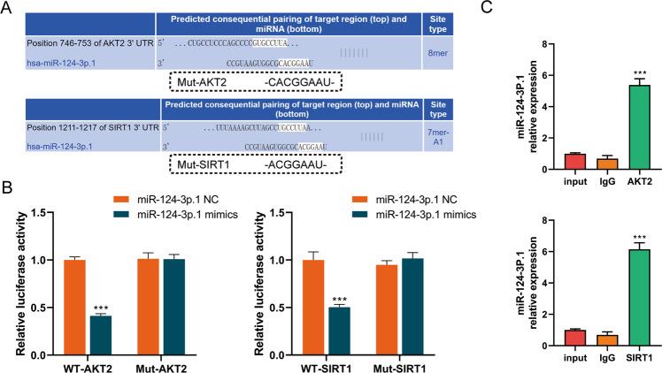 https://cdn.ncbi.nlm.nih.gov/pmc/blobs/d3c2/8748751/f004cf794aae/41419_2021_4491_Fig3_HTML.jpg