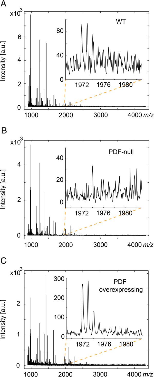 https://cdn.ncbi.nlm.nih.gov/pmc/blobs/d3c4/4022047/5551fee218af/1756-6606-6-60-1.jpg