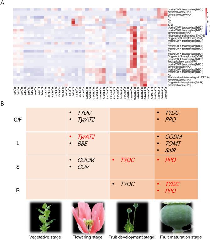 https://cdn.ncbi.nlm.nih.gov/pmc/blobs/d3c7/12304105/1a768ff2af2c/41598_2025_11942_Fig4_HTML.jpg