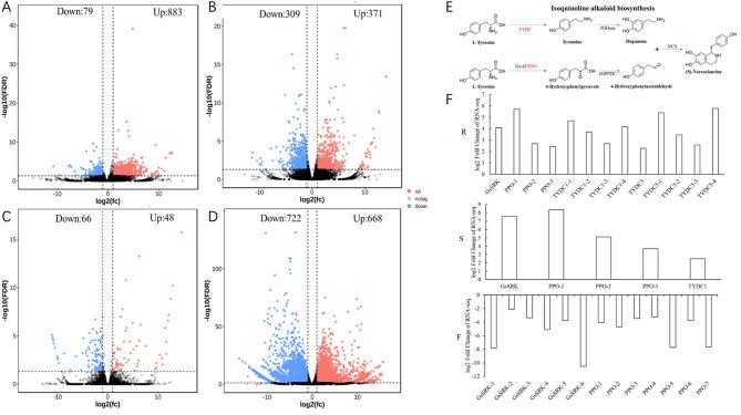 https://cdn.ncbi.nlm.nih.gov/pmc/blobs/d3c7/12304105/7bd03fe1e905/41598_2025_11942_Fig5_HTML.jpg