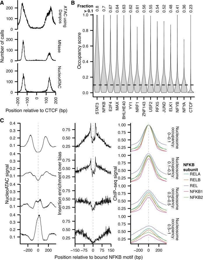 https://cdn.ncbi.nlm.nih.gov/pmc/blobs/d3c9/4617971/045c7f80cebc/1757f07.jpg