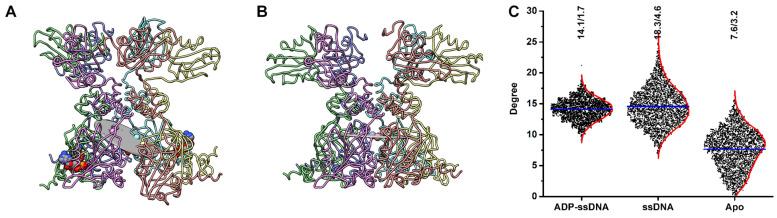 https://cdn.ncbi.nlm.nih.gov/pmc/blobs/d3ca/10747457/607caa32193b/viruses-15-02393-g008.jpg