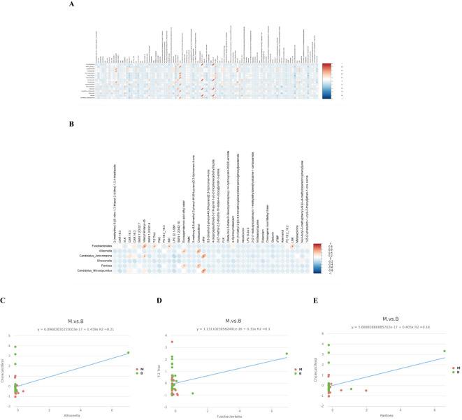 https://cdn.ncbi.nlm.nih.gov/pmc/blobs/d3ca/12066597/813f8e0e6c2c/fcimb-15-1513270-g005.jpg