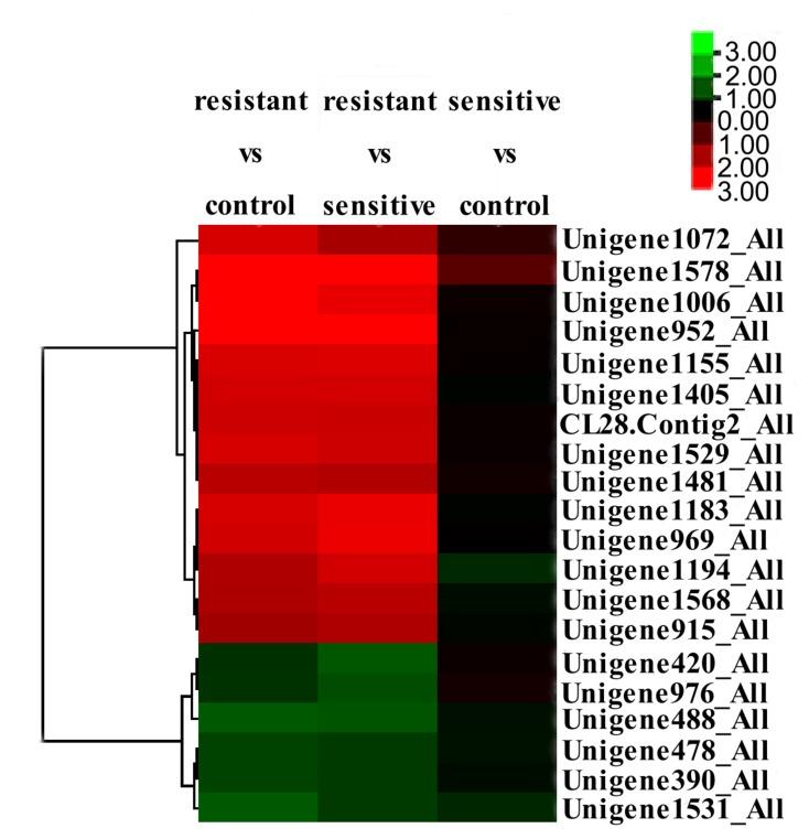 https://cdn.ncbi.nlm.nih.gov/pmc/blobs/d3cd/6072972/440878b4a184/fmicb-09-01698-g005.jpg