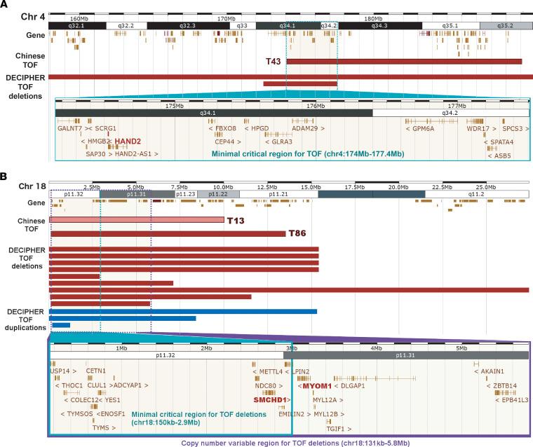 https://cdn.ncbi.nlm.nih.gov/pmc/blobs/d3cd/8855809/548768a52f1e/jciinsight-7-152198-g002.jpg