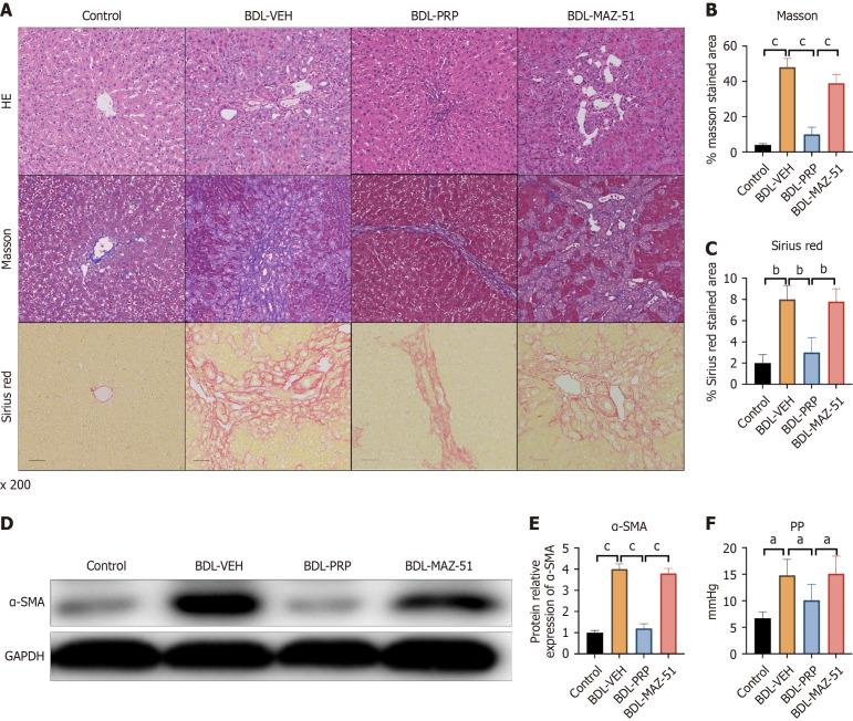 https://cdn.ncbi.nlm.nih.gov/pmc/blobs/d3cf/11886527/25f16674a9e1/100194-g006.jpg