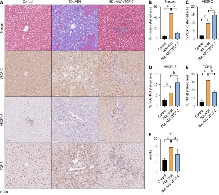 https://cdn.ncbi.nlm.nih.gov/pmc/blobs/d3cf/11886527/d8eac5a864fd/100194-g002.jpg