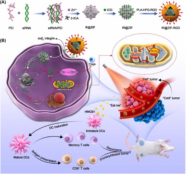 https://cdn.ncbi.nlm.nih.gov/pmc/blobs/d3d0/10471091/b7bbd5311a1a/j_mr-2022-0048_fig_010.jpg