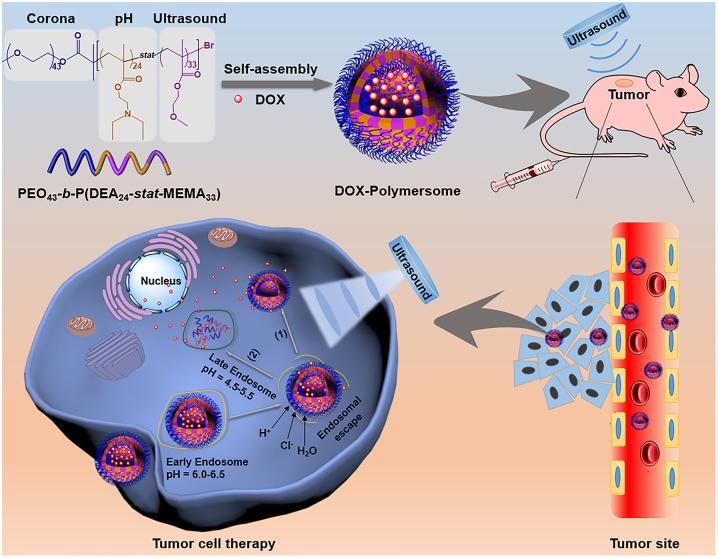https://cdn.ncbi.nlm.nih.gov/pmc/blobs/d3d0/10471091/eaed491f231e/j_mr-2022-0048_fig_013.jpg