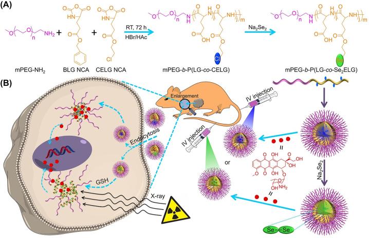 https://cdn.ncbi.nlm.nih.gov/pmc/blobs/d3d0/10471091/ffa0a51b0347/j_mr-2022-0048_fig_014.jpg