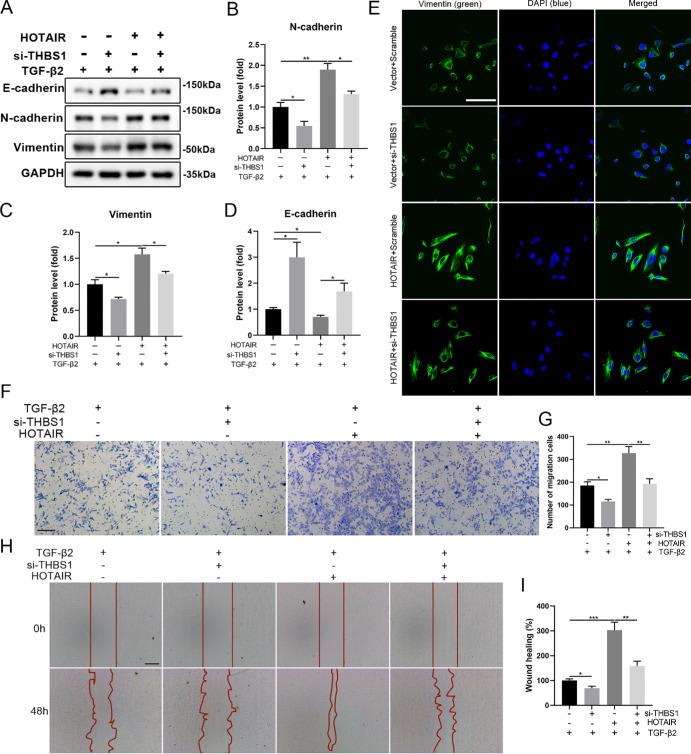https://cdn.ncbi.nlm.nih.gov/pmc/blobs/d3d0/12068528/81ad3f5c63c9/iovs-66-5-20-f011.jpg